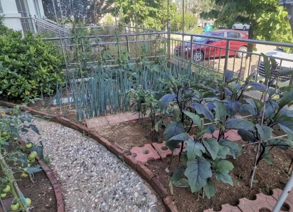 海风花园一楼带小院出售